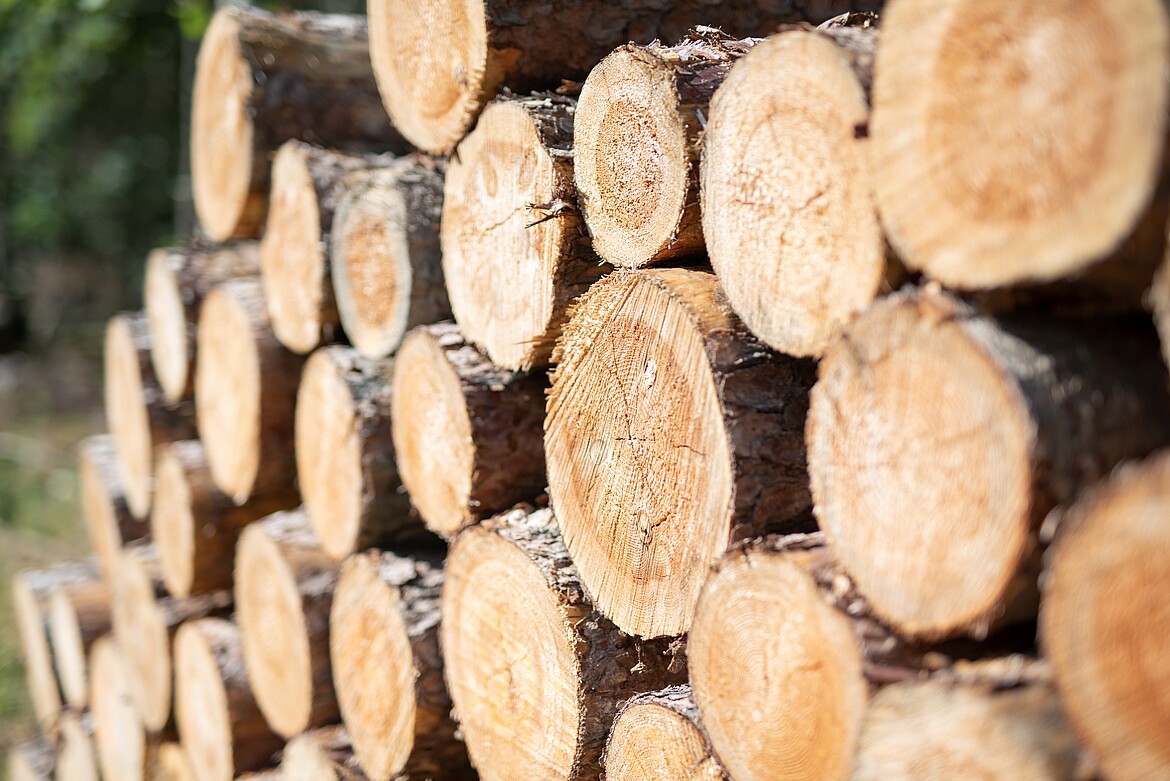 Holz als Baustoff
